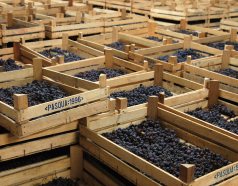 Vinothek kaufen für Rotwein Online online Genießer |